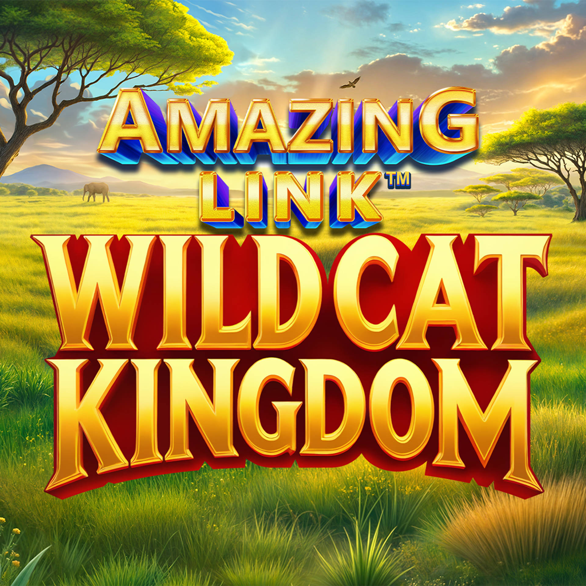 Amazing Link WildCat Kingdom