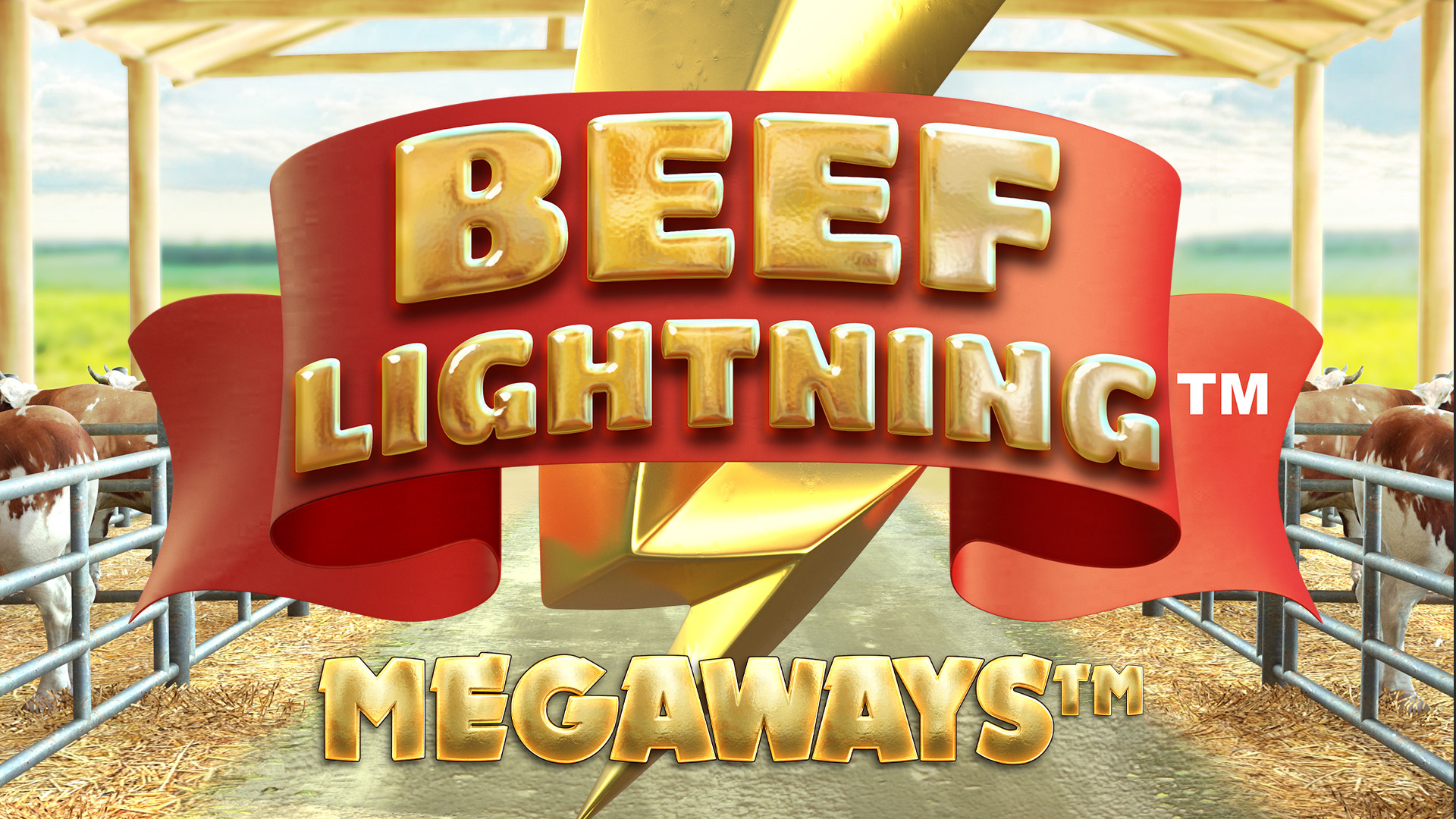 Beef Lightning