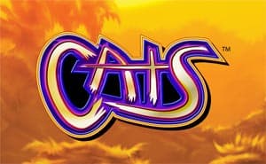 Cats casino game