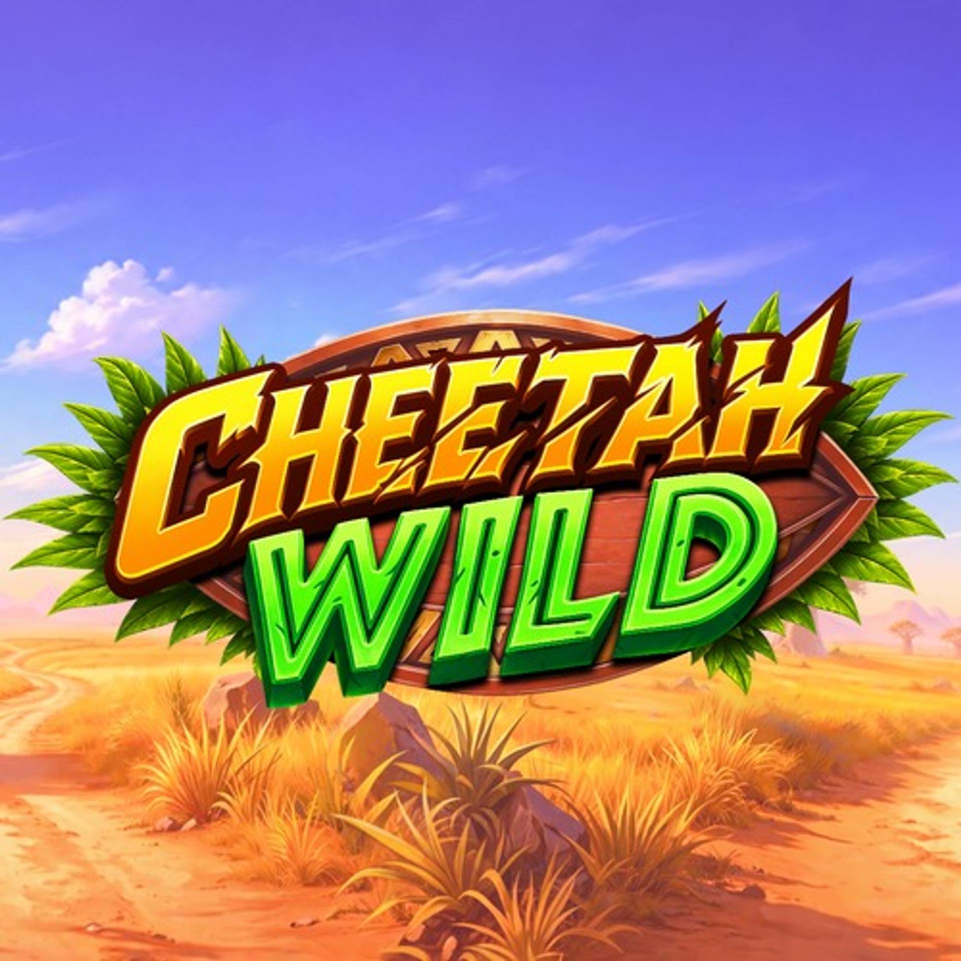 Cheetah Wild