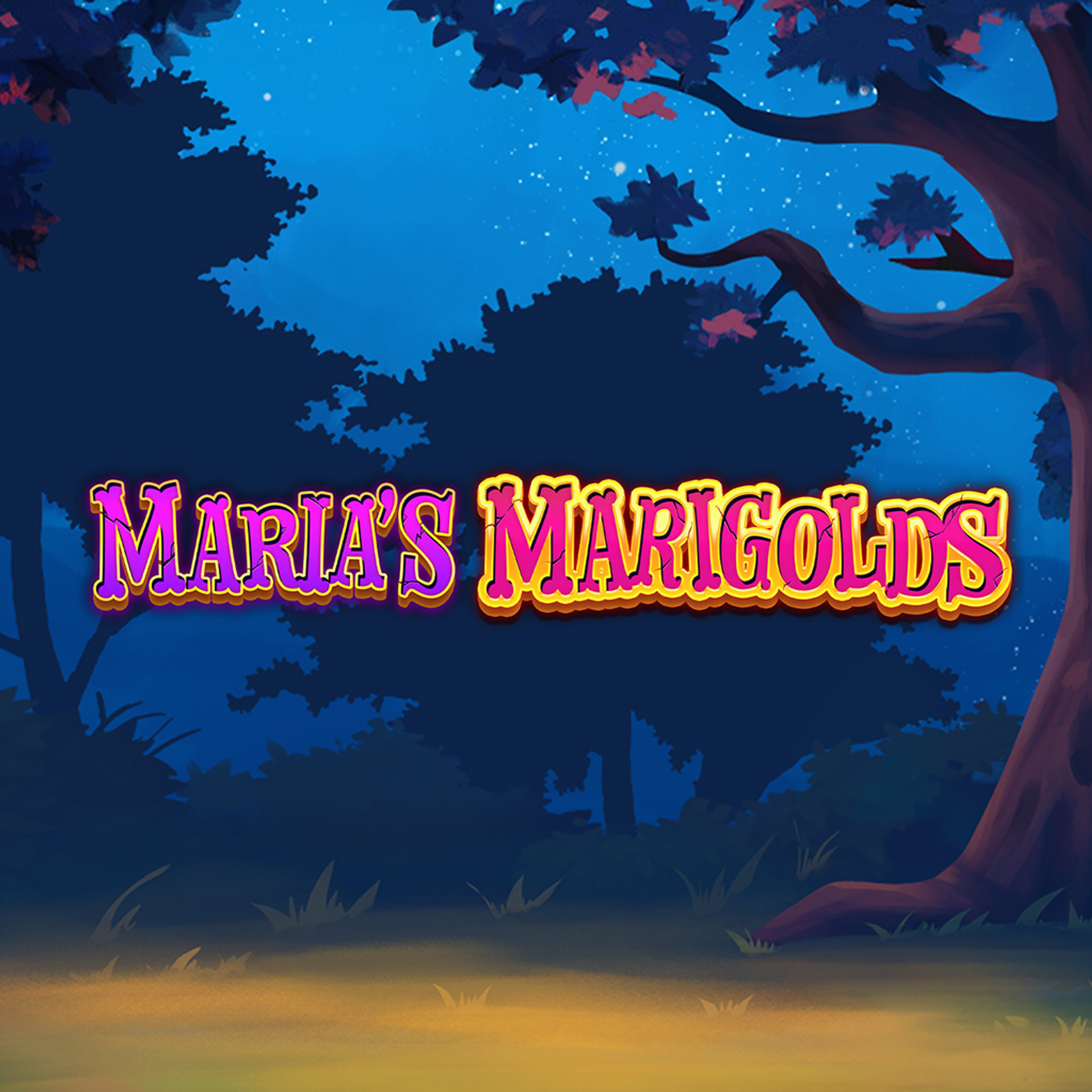 Maria's Marigolds