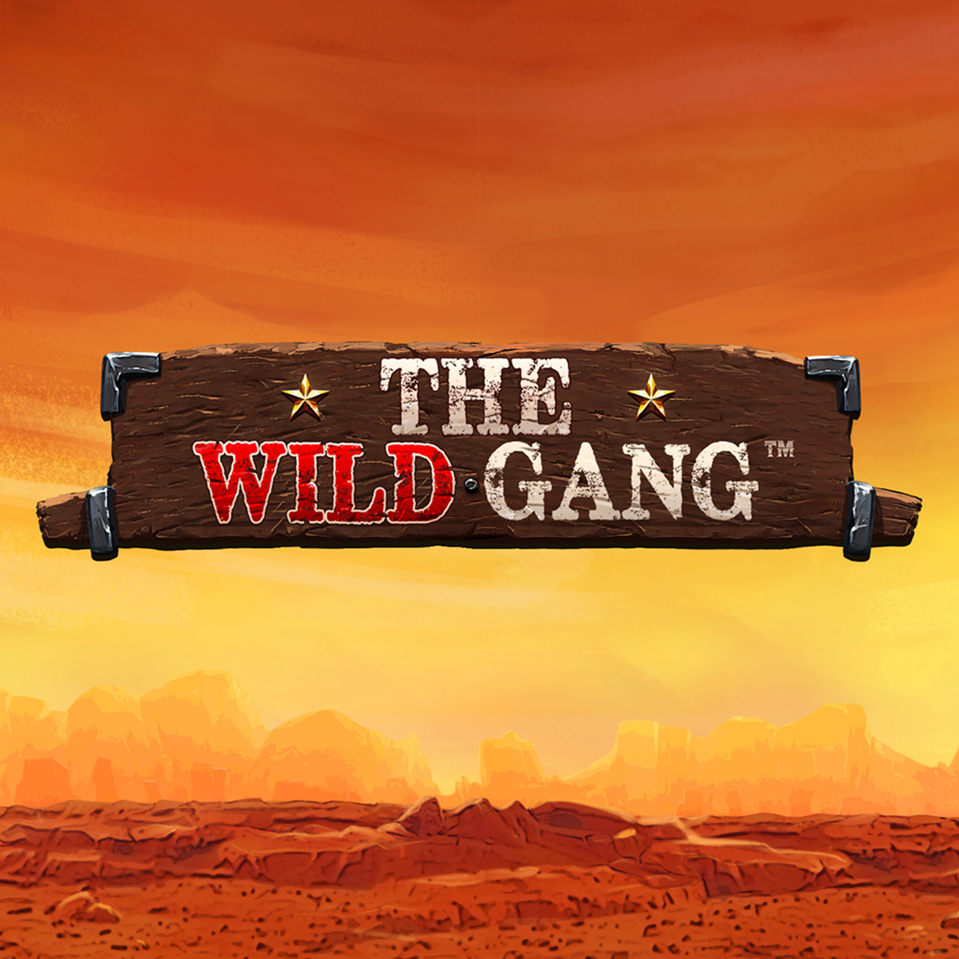 The Wild Gang